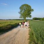 Après les 20 Km de Bruxelles, Sentiers Macas à Wavre – 2