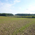 Challenge Condrusien – 20 Km de Fraiture 2015 – 1