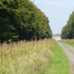 20 Km de la Forêt de Beloeil (Challenge ACRHO) 2015 – 4