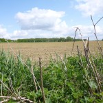 Challenge de jogging du Brabant Wallon 2016 à Céroux – 1