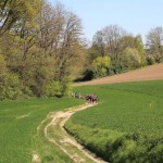 Challenge de jogging du Brabant Wallon à Bierges