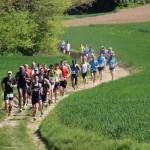 Challenge de jogging du Brabant Wallon à Bierges – Tête de course