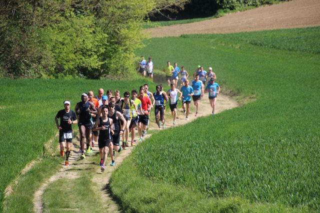 Challenge de jogging du Brabant Wallon à Bierges - Tête de course
