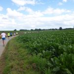 Challenge de jogging du Brabant Wallon – Nil 2016 – 2