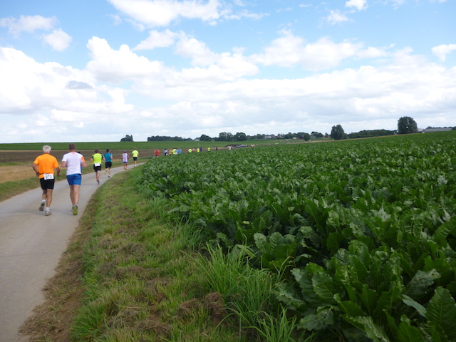 Challenge de jogging du Brabant Wallon - Nil 2016 - 2